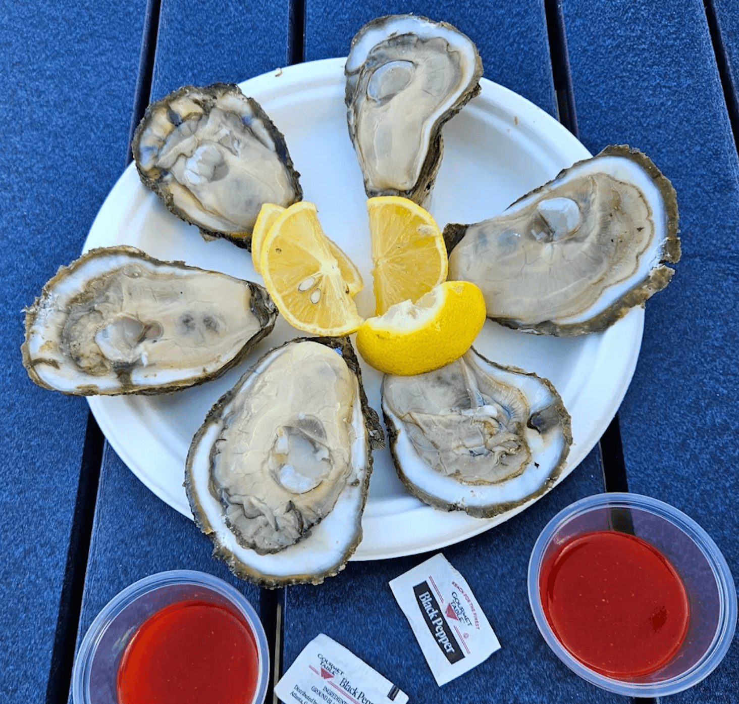Fresh oysters served on ice in Washington, D.C.