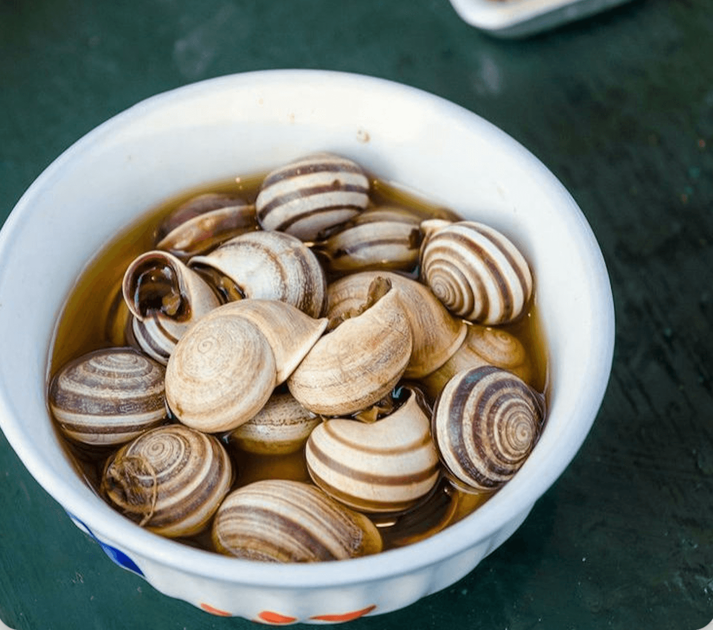 A bowl of Marrakesh babbouche snails served in aromatic broth