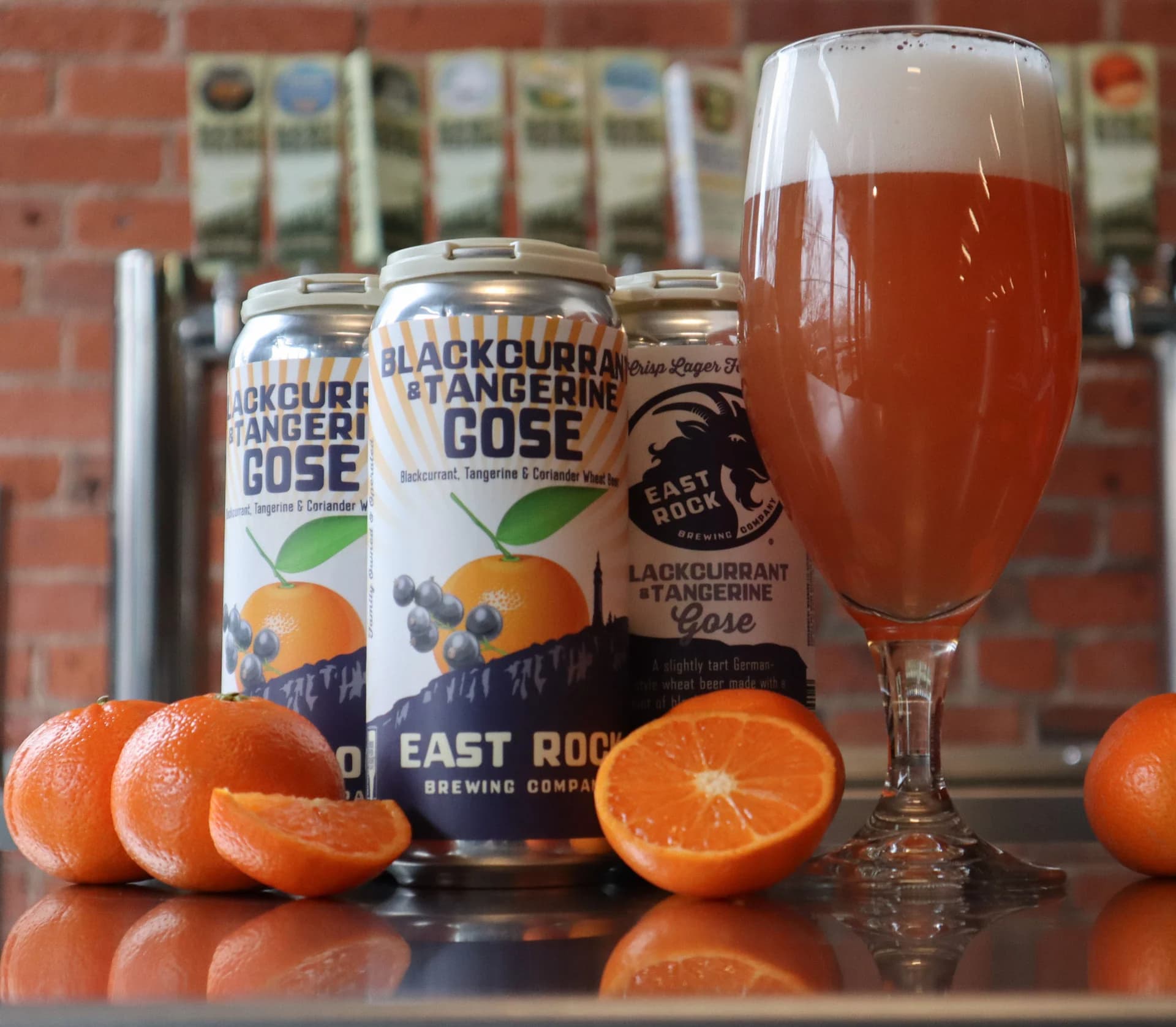 East Rock Brewing beer cans and a poured craft beer with oranges