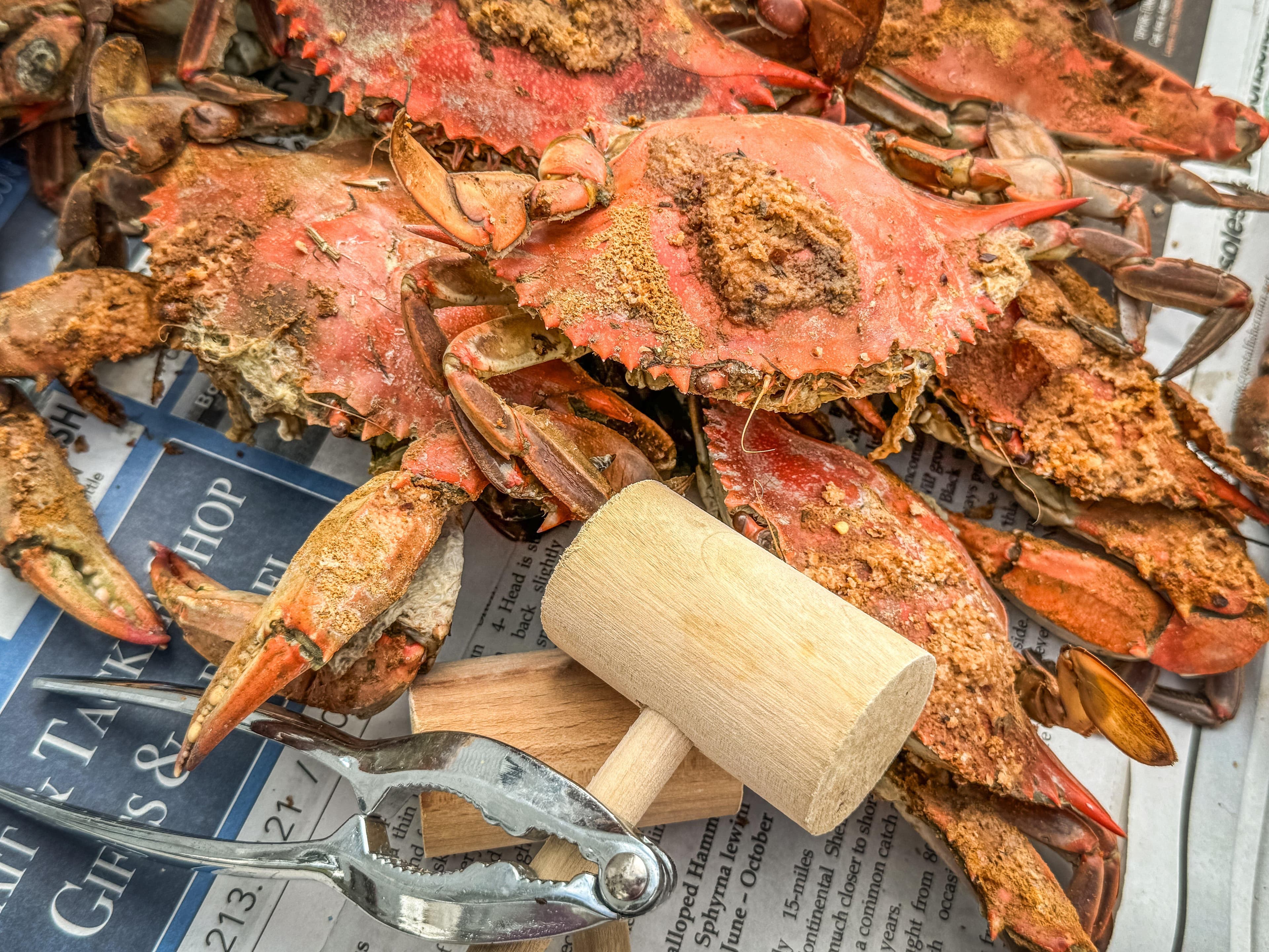 Steamed Maryland blue crabs