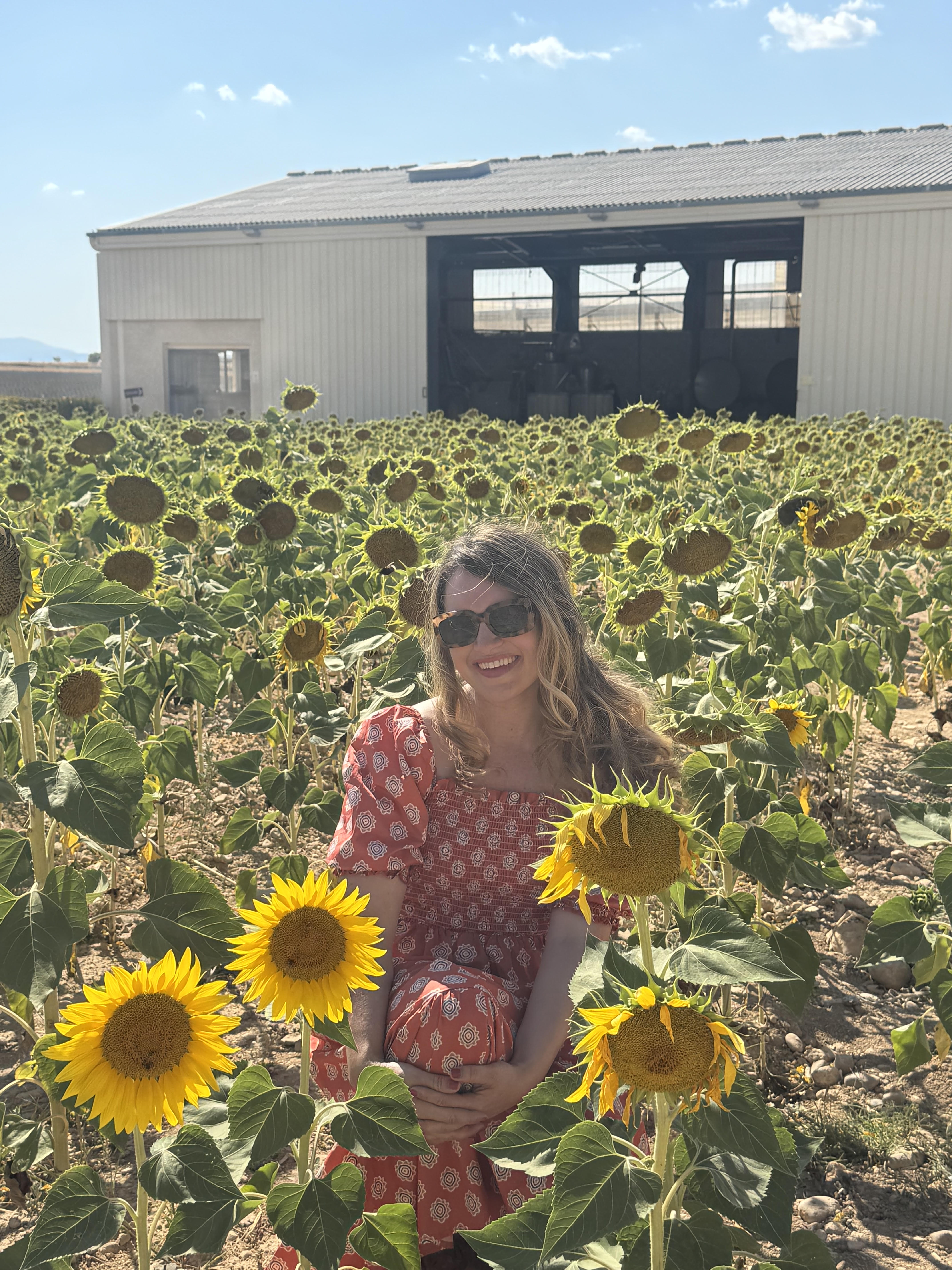 Sarah sitting in a sunflower field